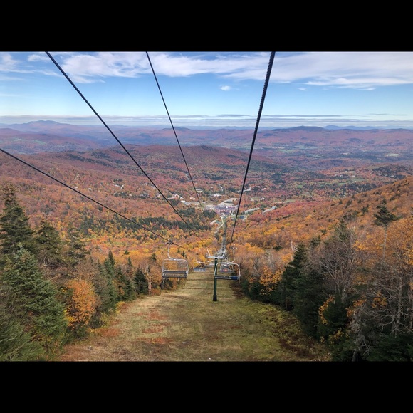 Meet your Posher, Abby - Picture 1 of 1